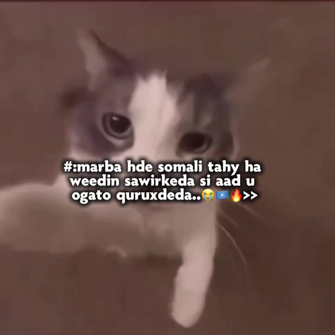 @ᗩT͜͡ ᒪᗩs)͜͡🦇🧬