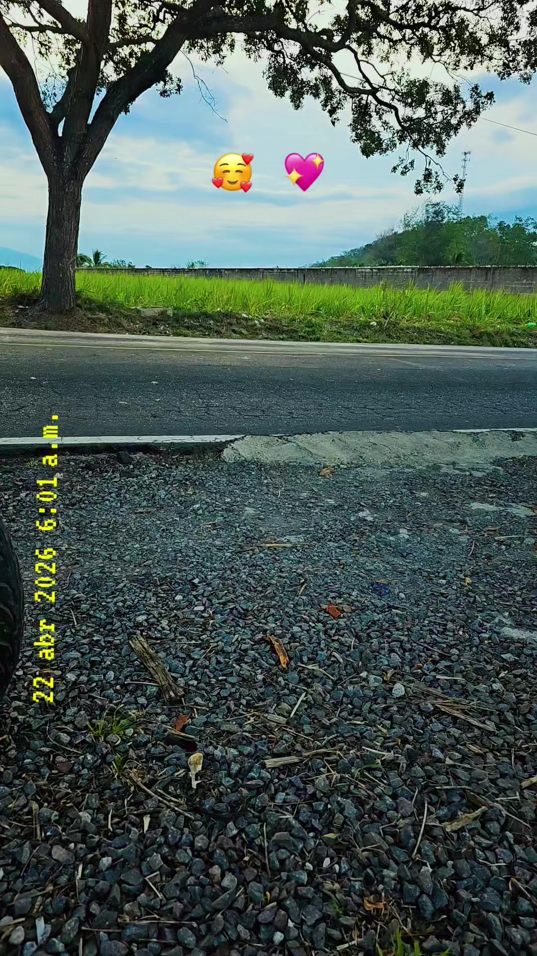 @alex💯 🧃la rojita❤️🔥🇸🇻