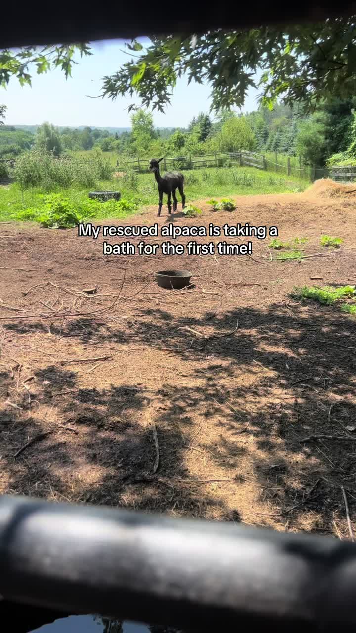 @Pond Side Acres