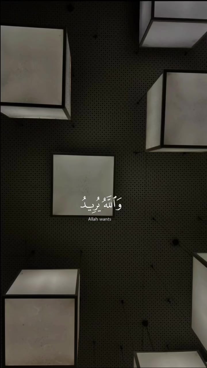 @Salem Ali