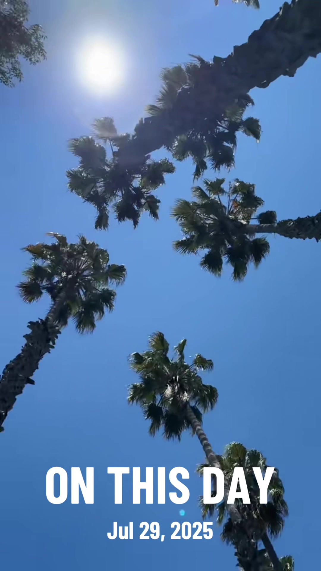 @𝗠𝗜𝗖𝗛𝗘𝗟𝗟𝗘