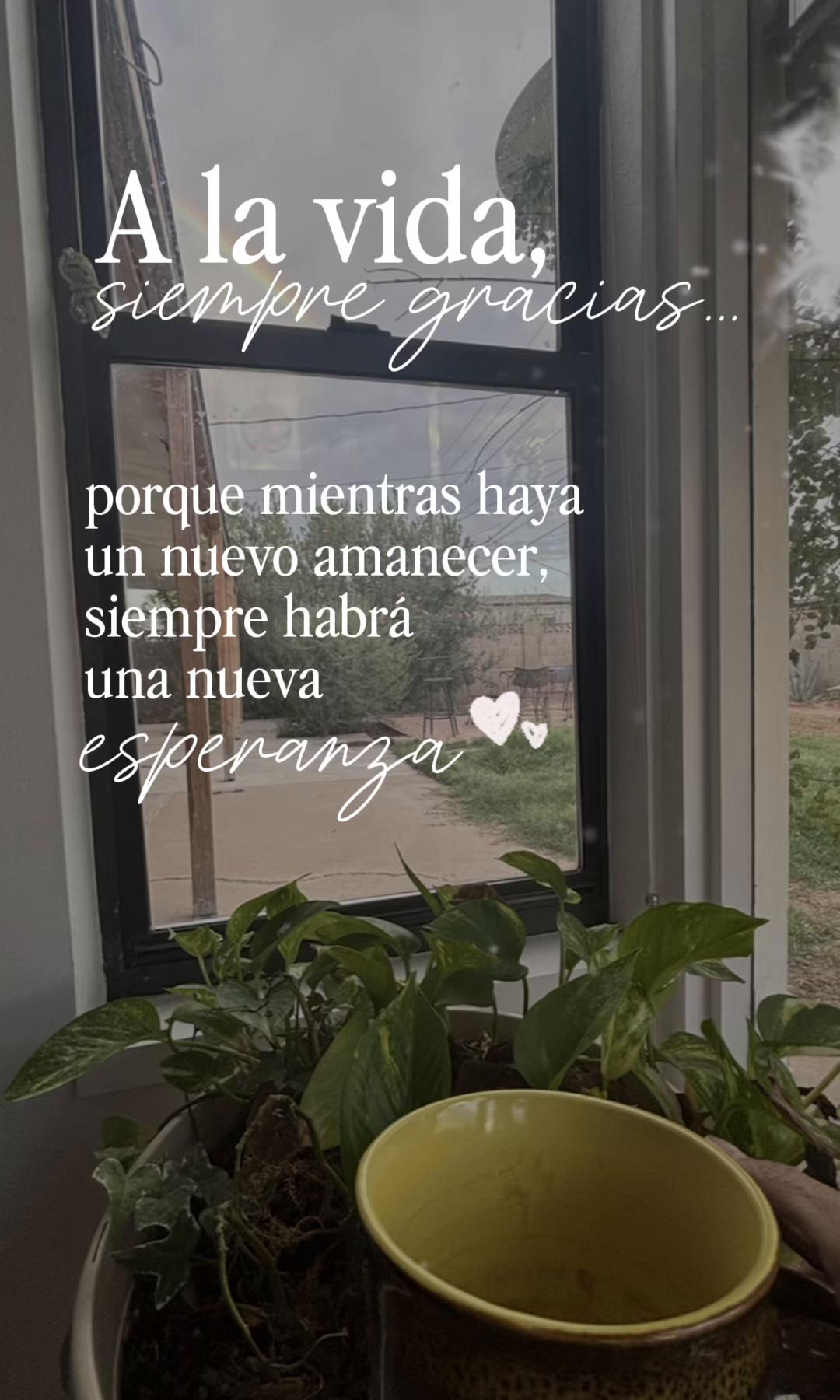 @silvia H
