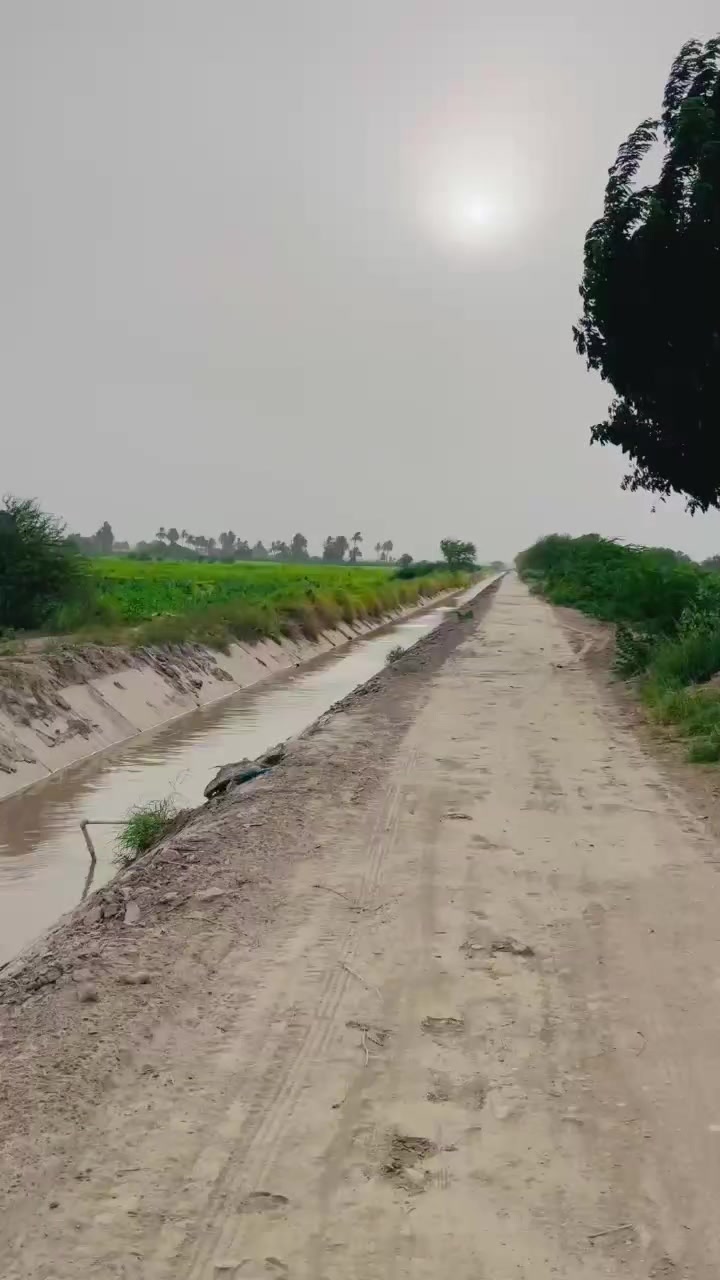 @ALi Akbar baloch✨