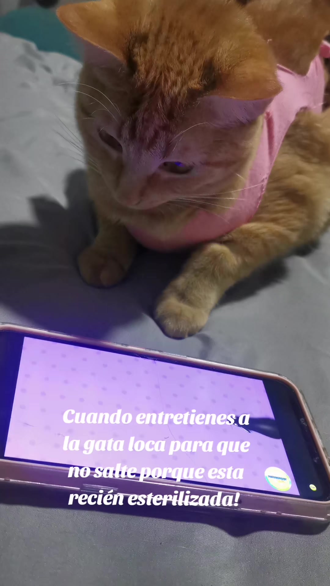 @Janis 🥰🥰🥰