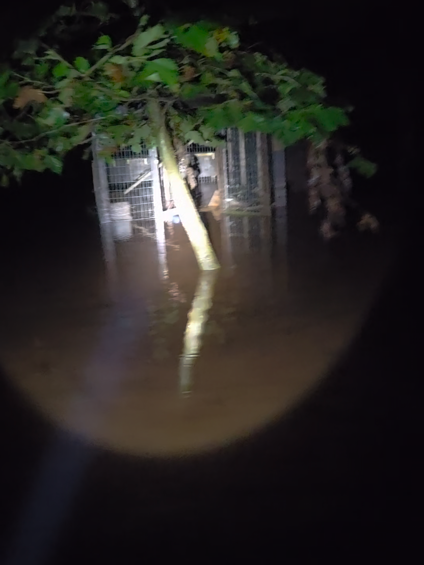 @amishheritage