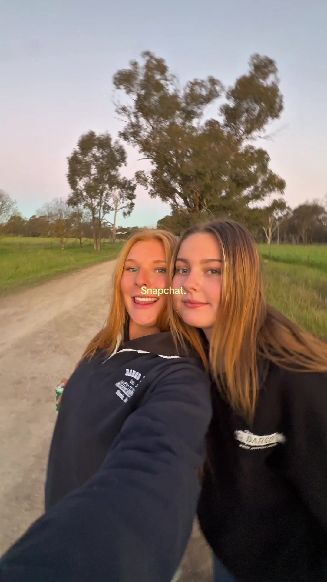 @IMI VINE