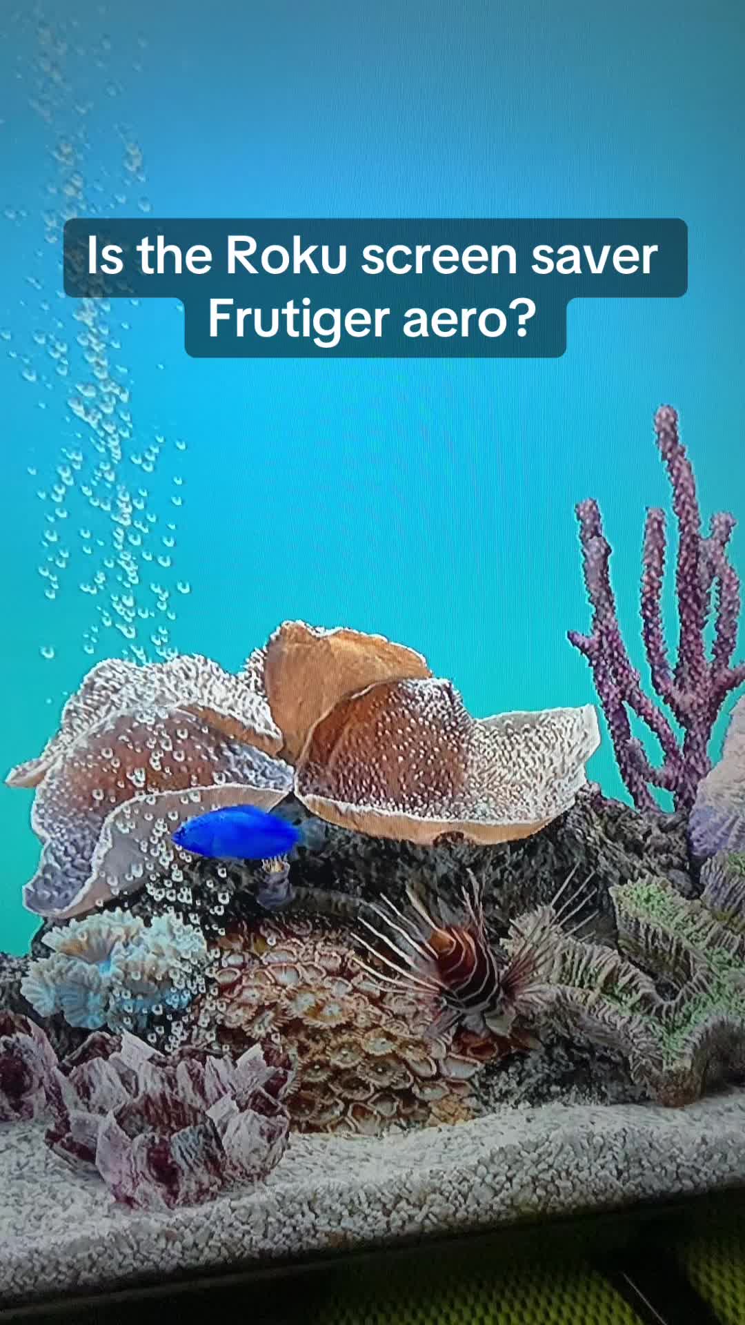 @Razareg