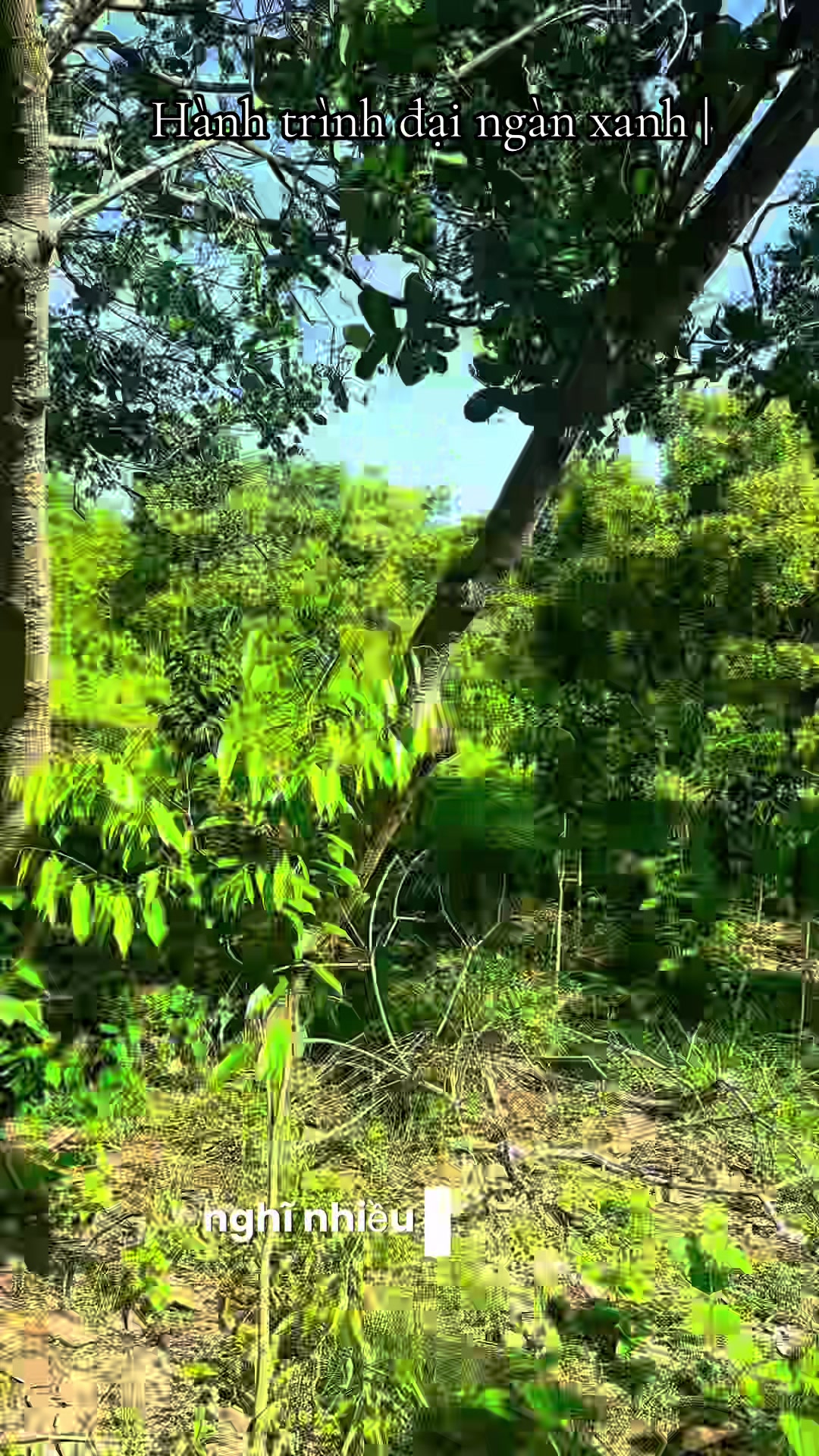 @D&oacute; Đen Việt !