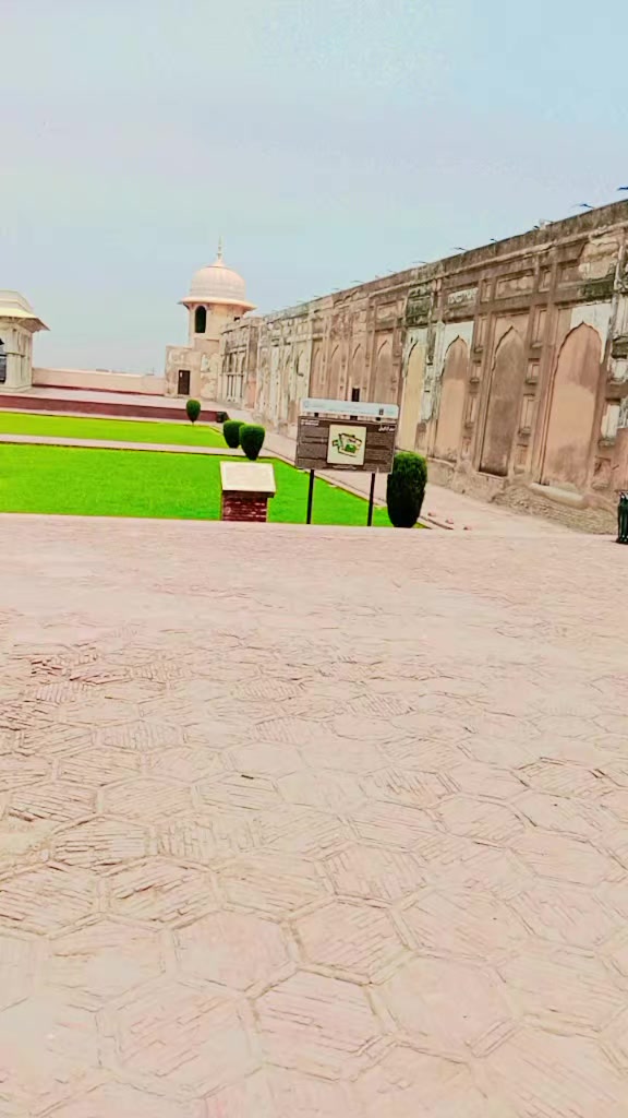 @بادشاہ لوگ