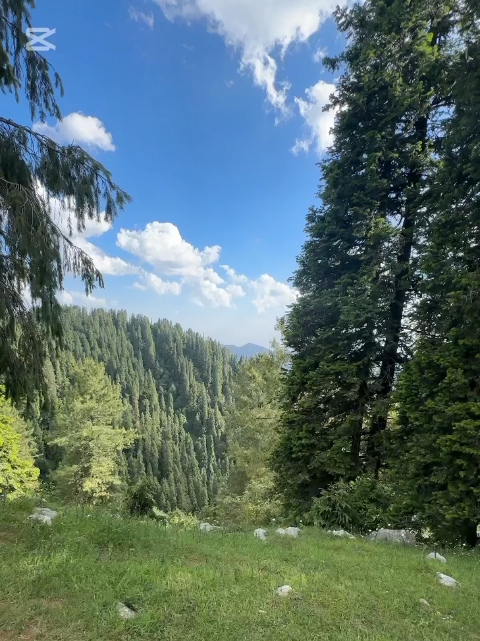 @DR.QAISAR KHATTAK