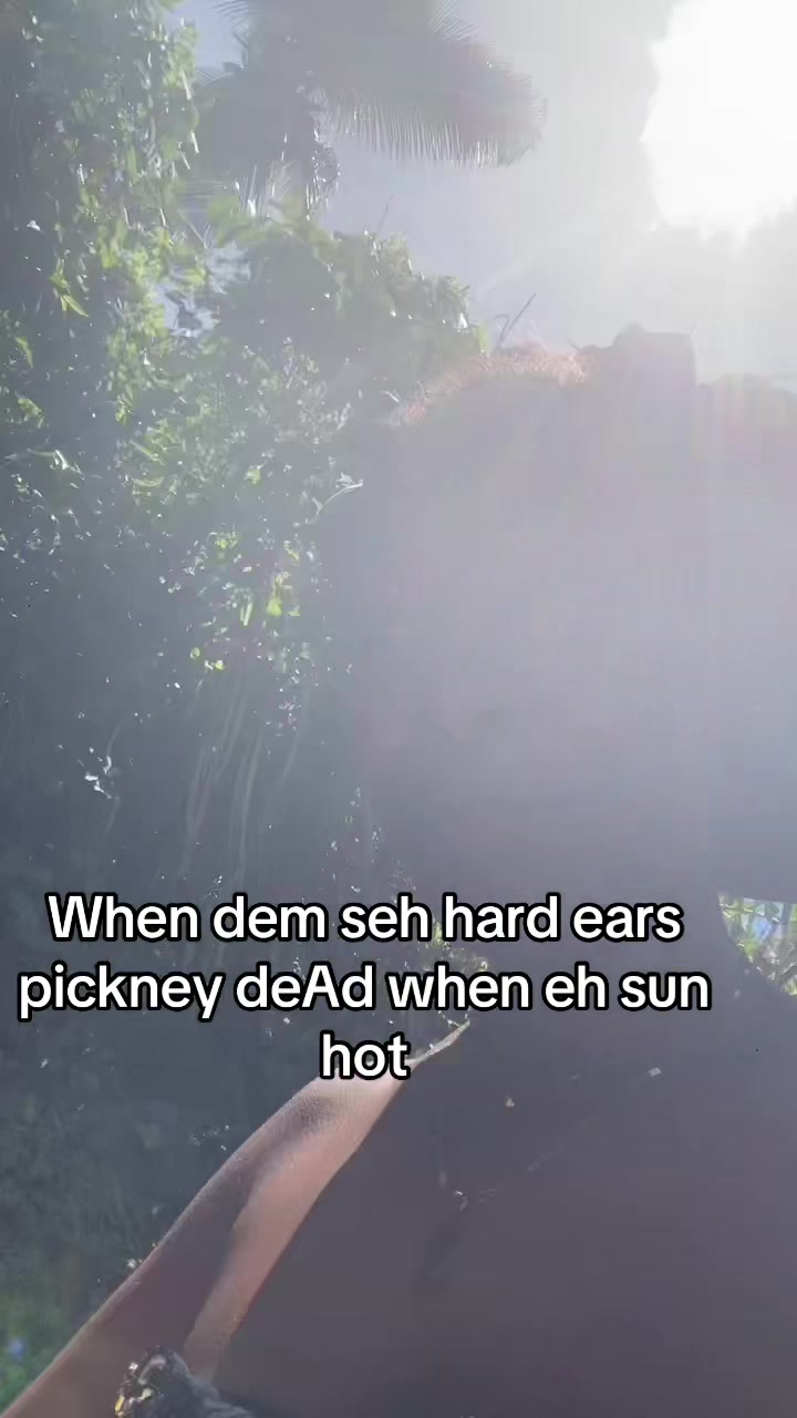 @toyasparadise