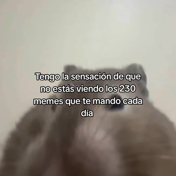 @goodvibessxd