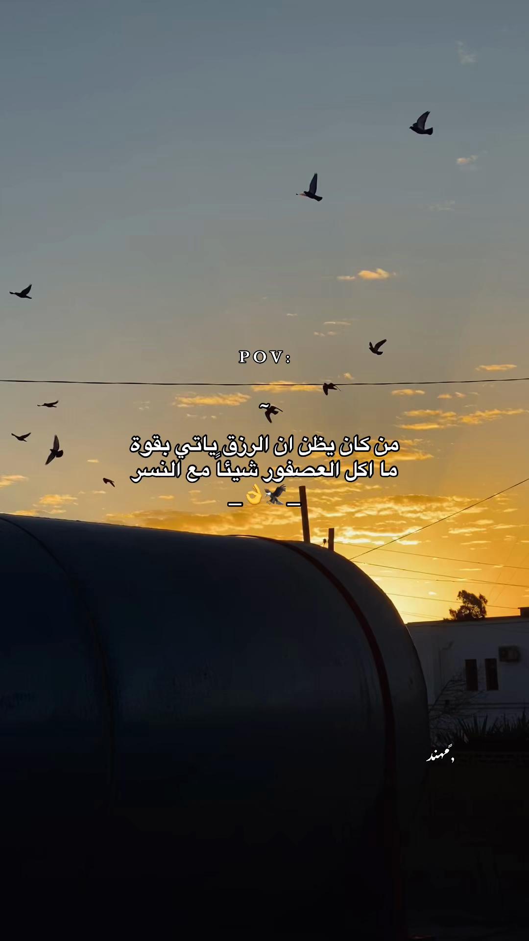 @بــفــرهـ 🚬