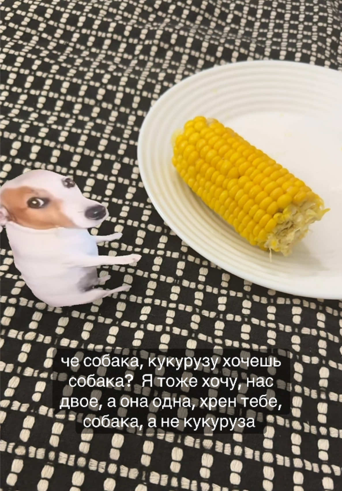 @drivips