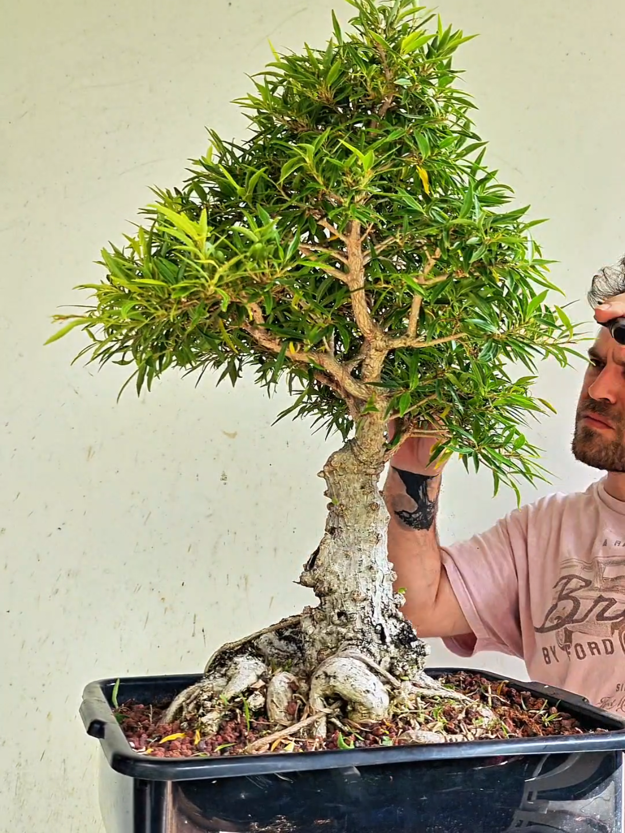 @Bryan Loves Bonsai
