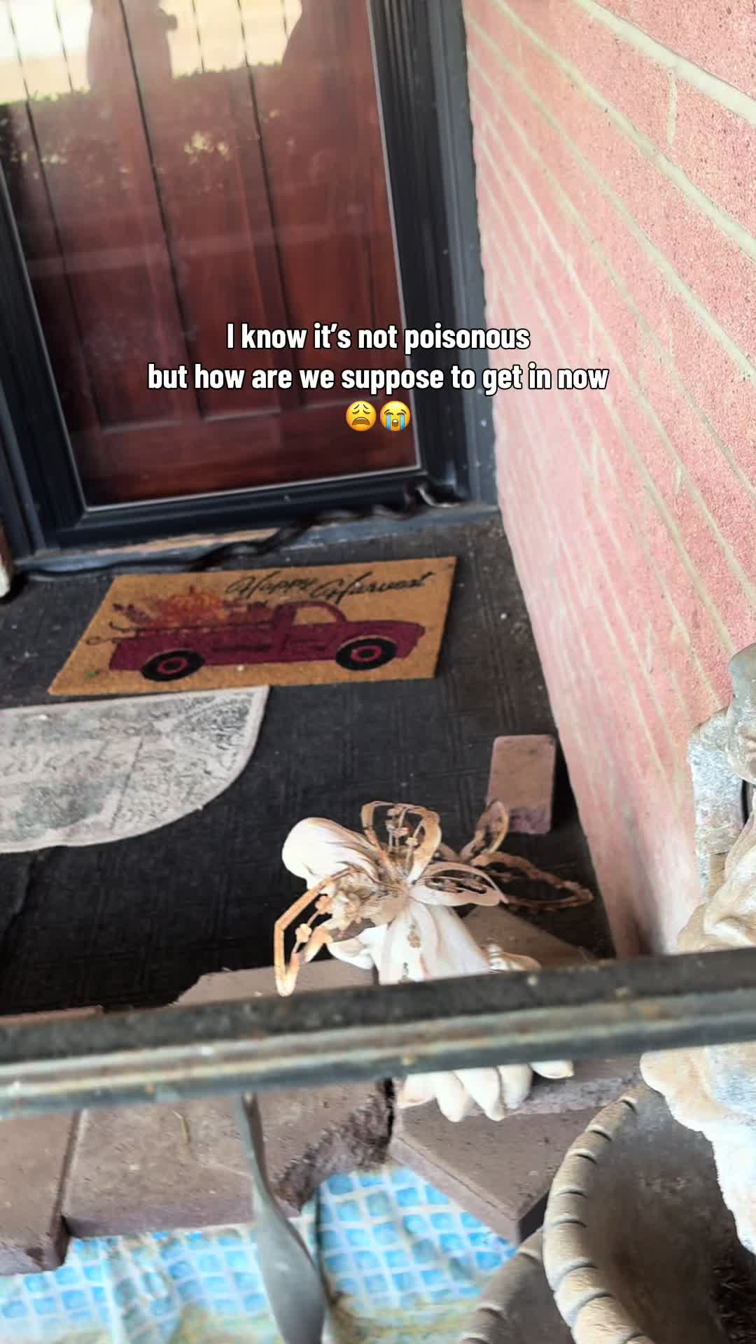 @bananapancakes