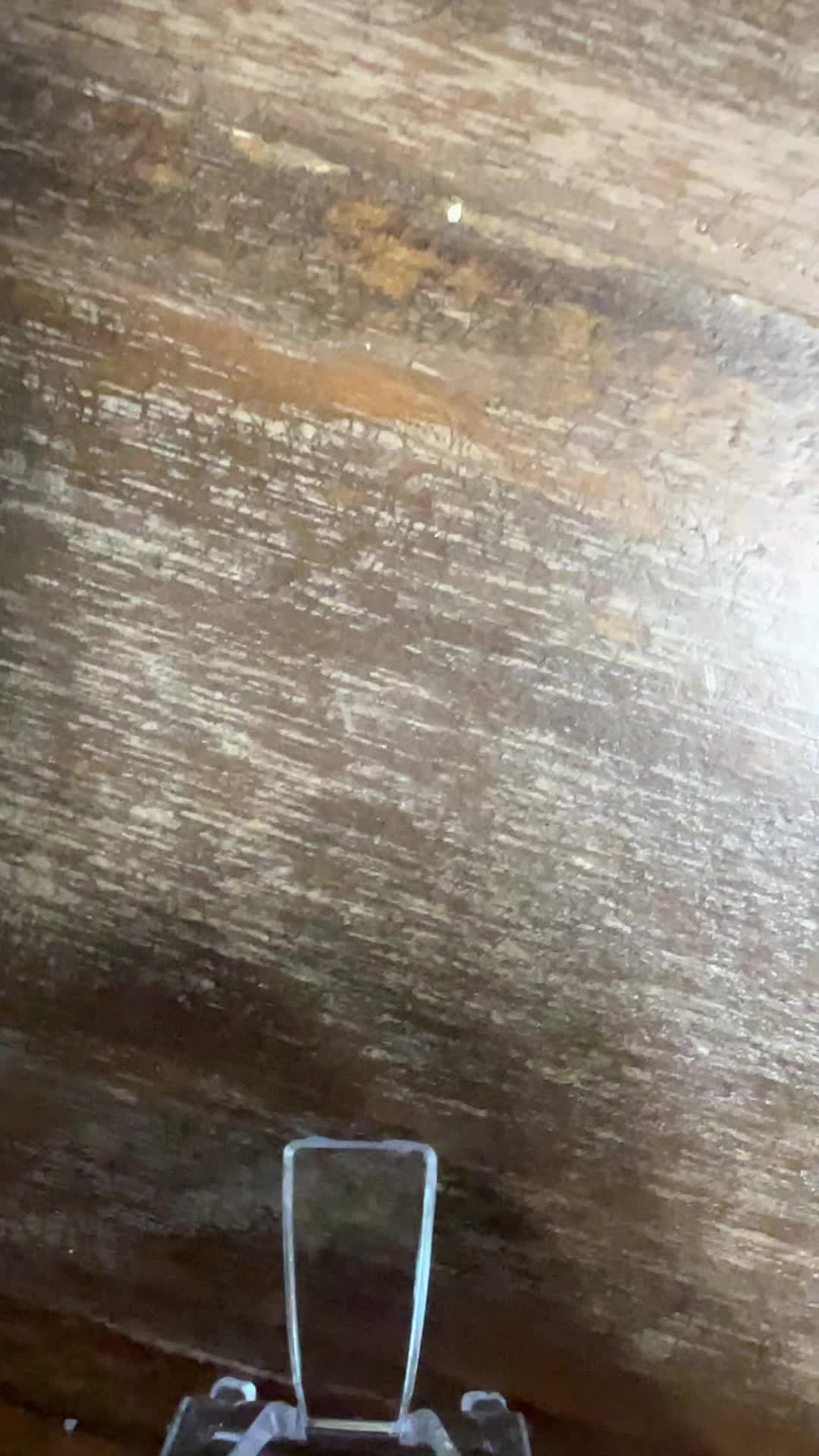 @Janszaprocks