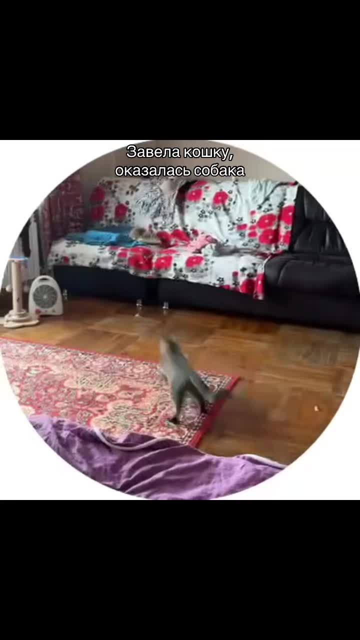 @Анастасия