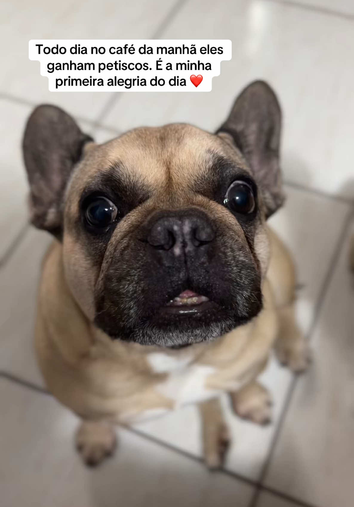 @Oi, Jude!