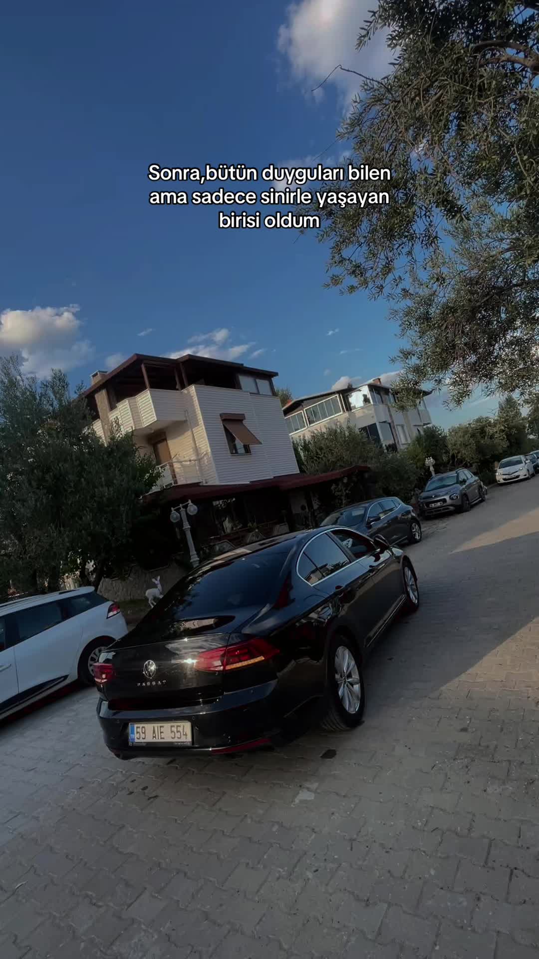 @Aktürk