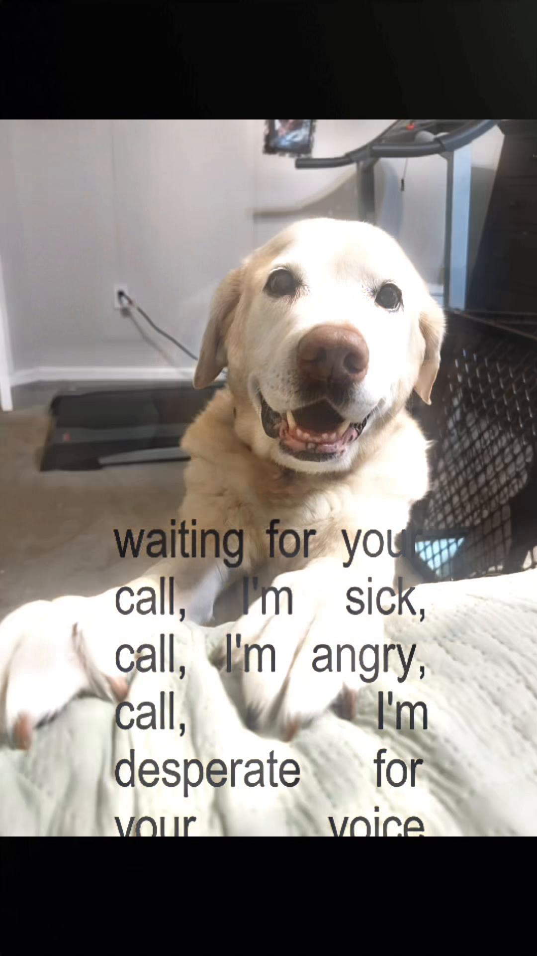 @𝓜𝓪𝓭𝓭𝔂