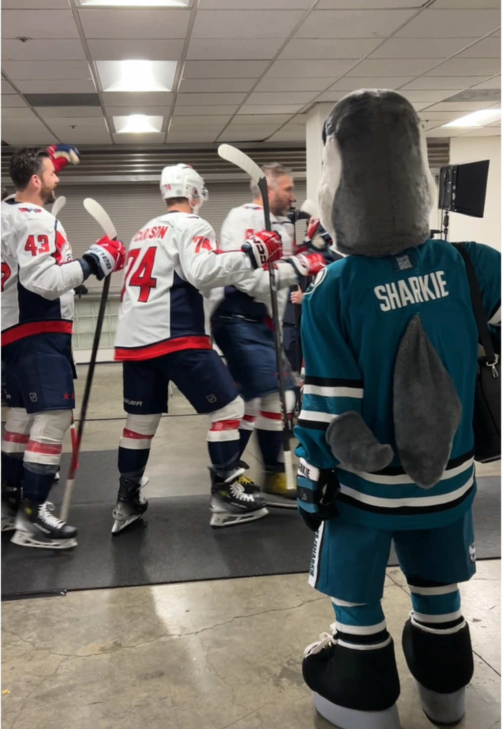 @SJ SHARKIE