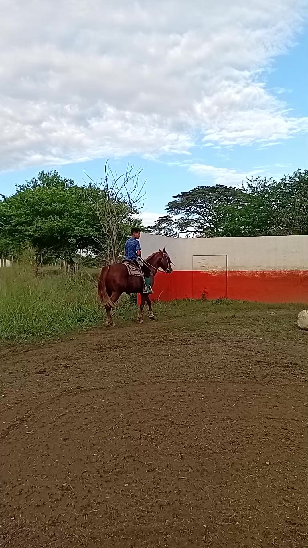 @Isaac Aular