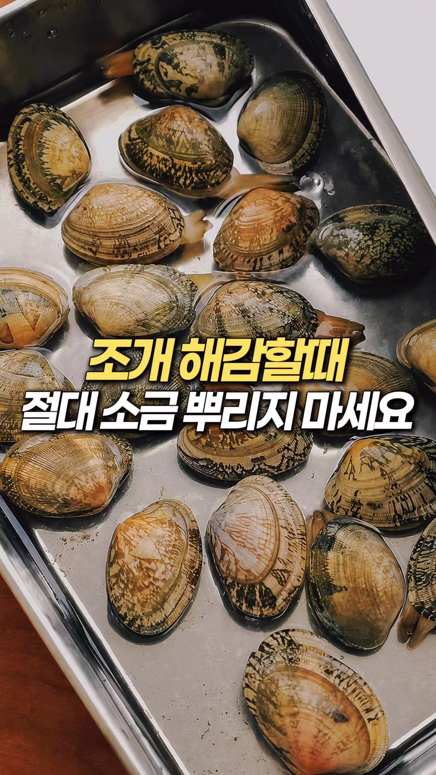 @멜로우픽