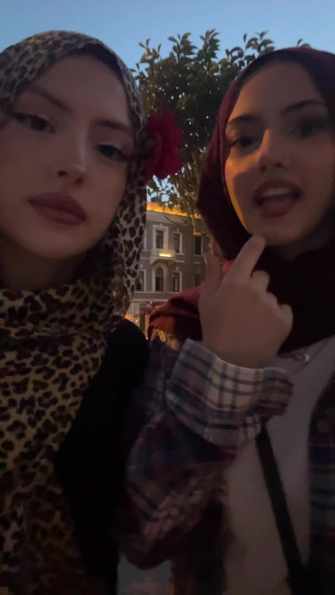 @ortalik56
