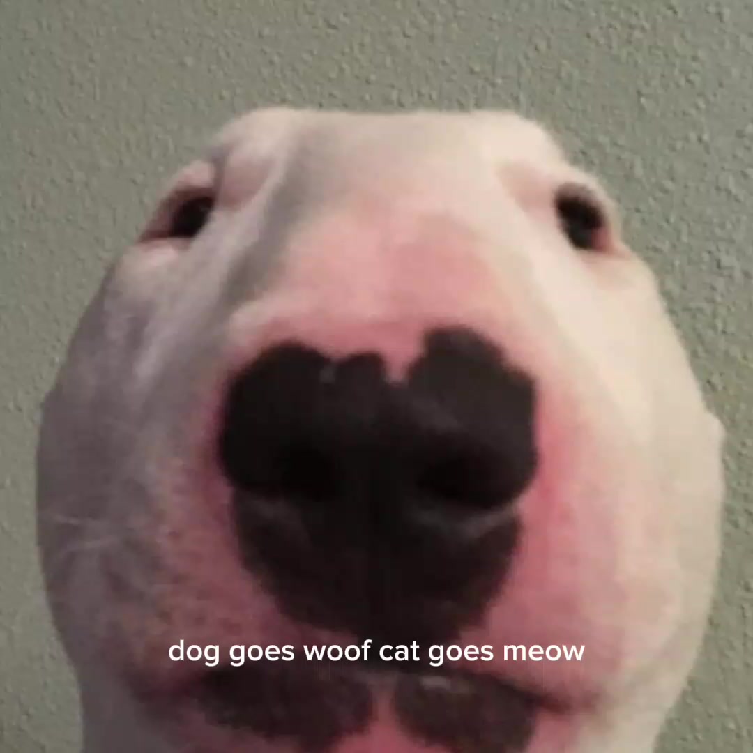 @question123