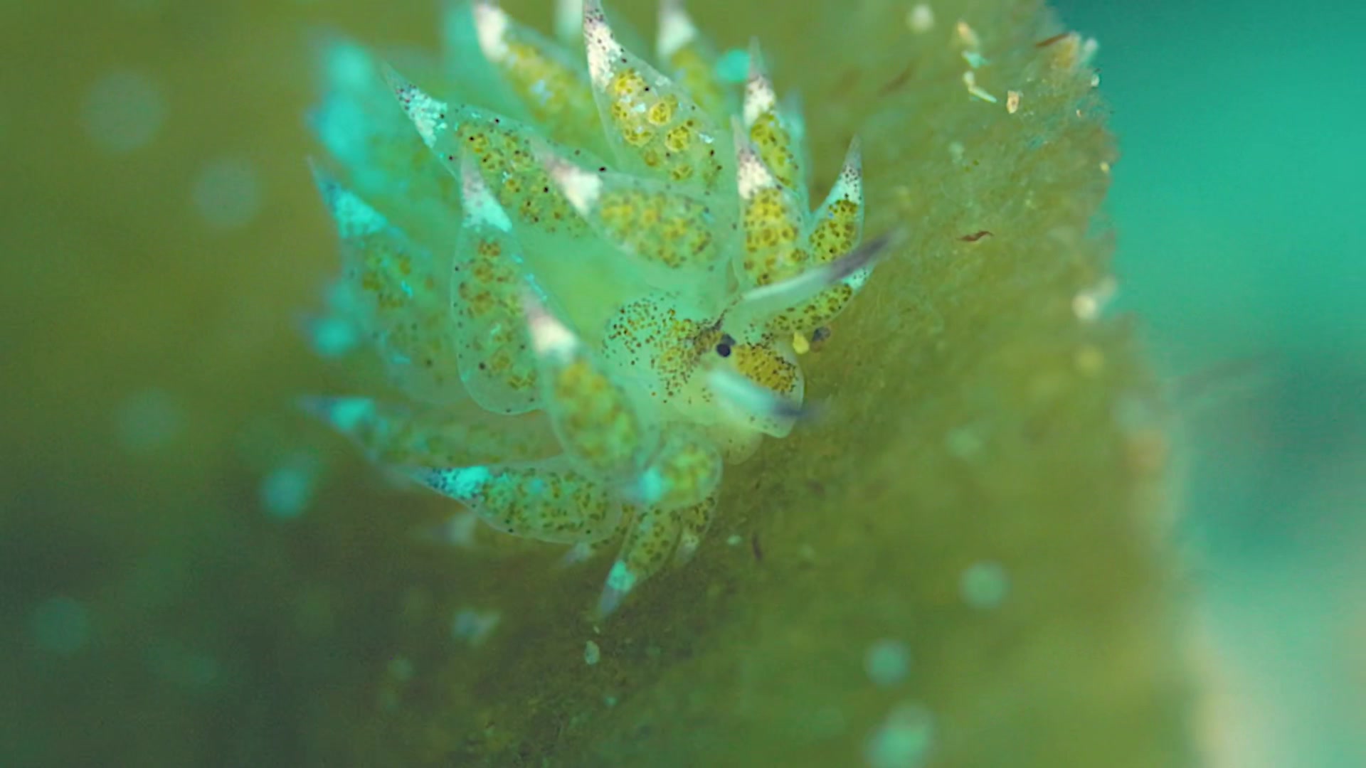 @Diving Tips and Stories
