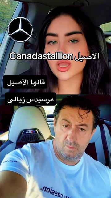 @Canadastallion 🇨🇦 الأصيل