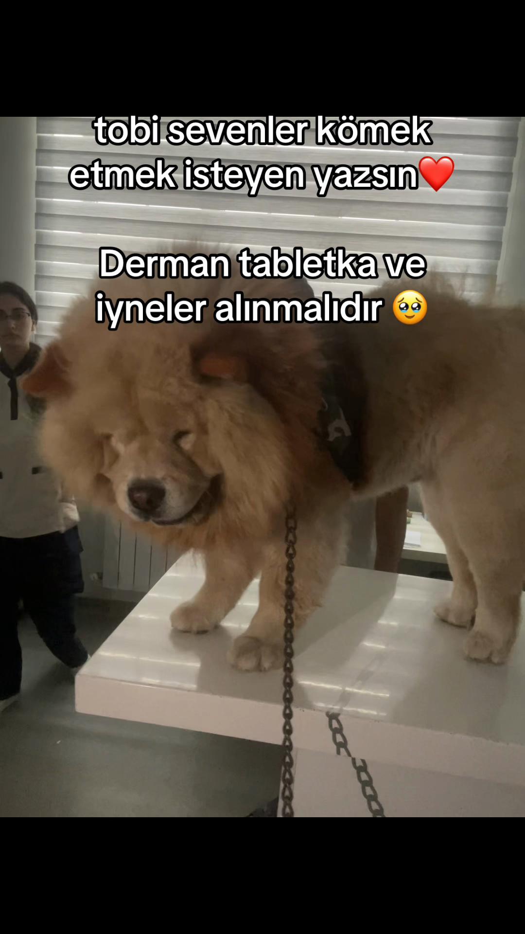 @tobi_bakılı