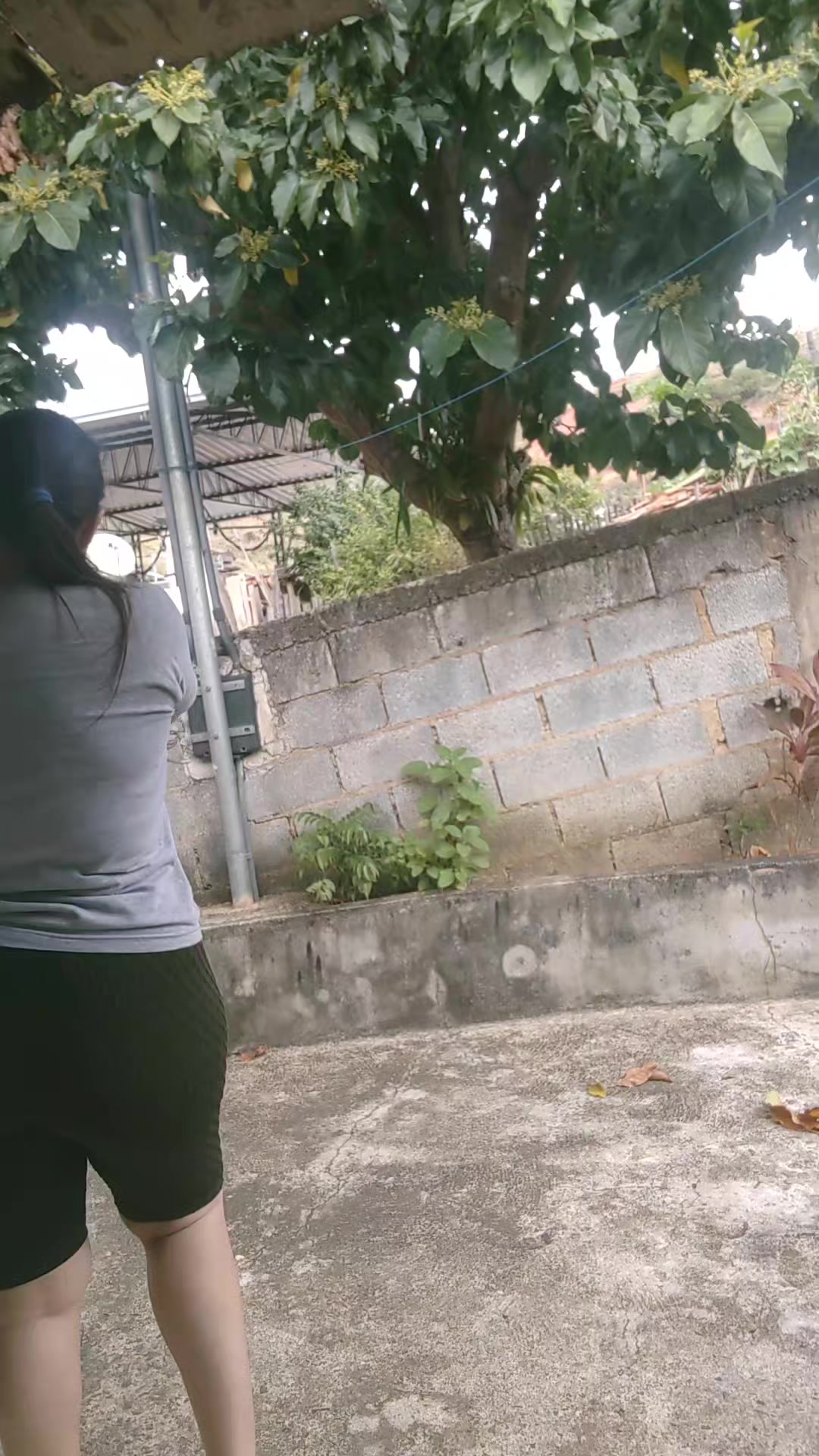 @minha vida minha casa