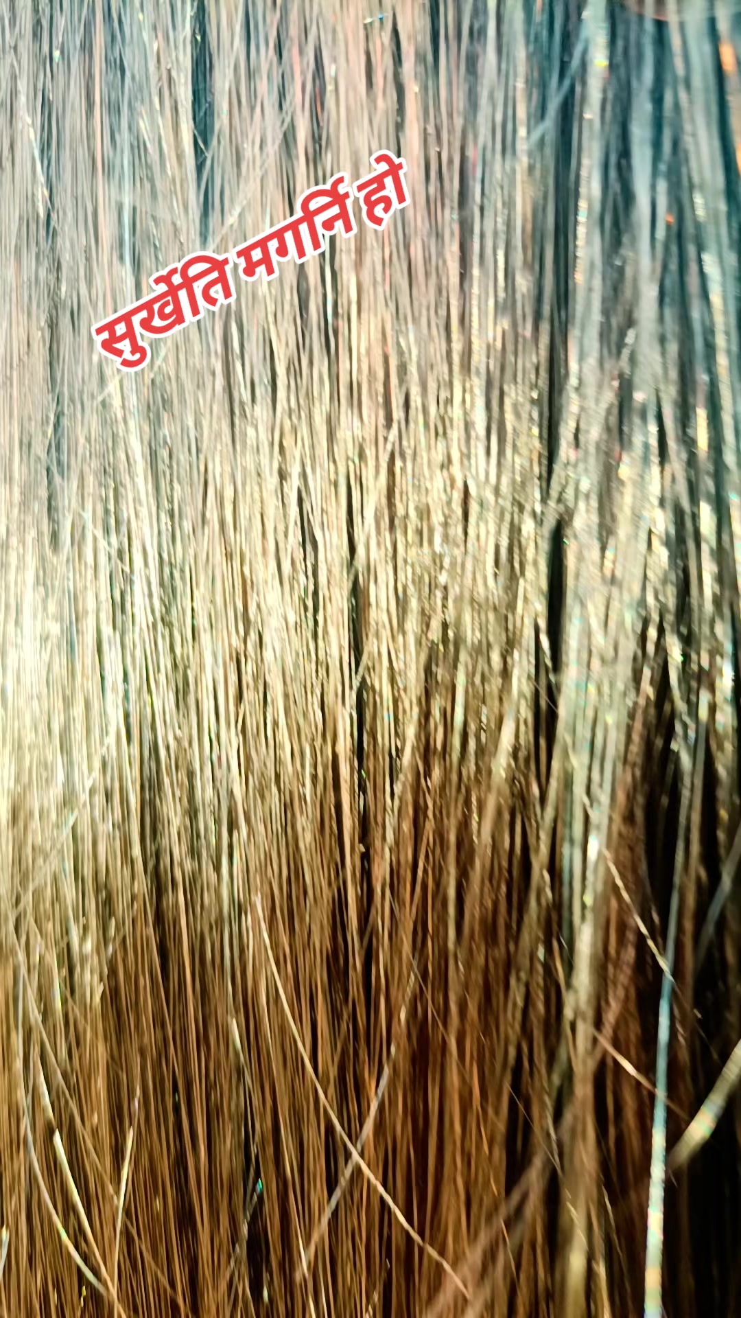 @Indra magarni