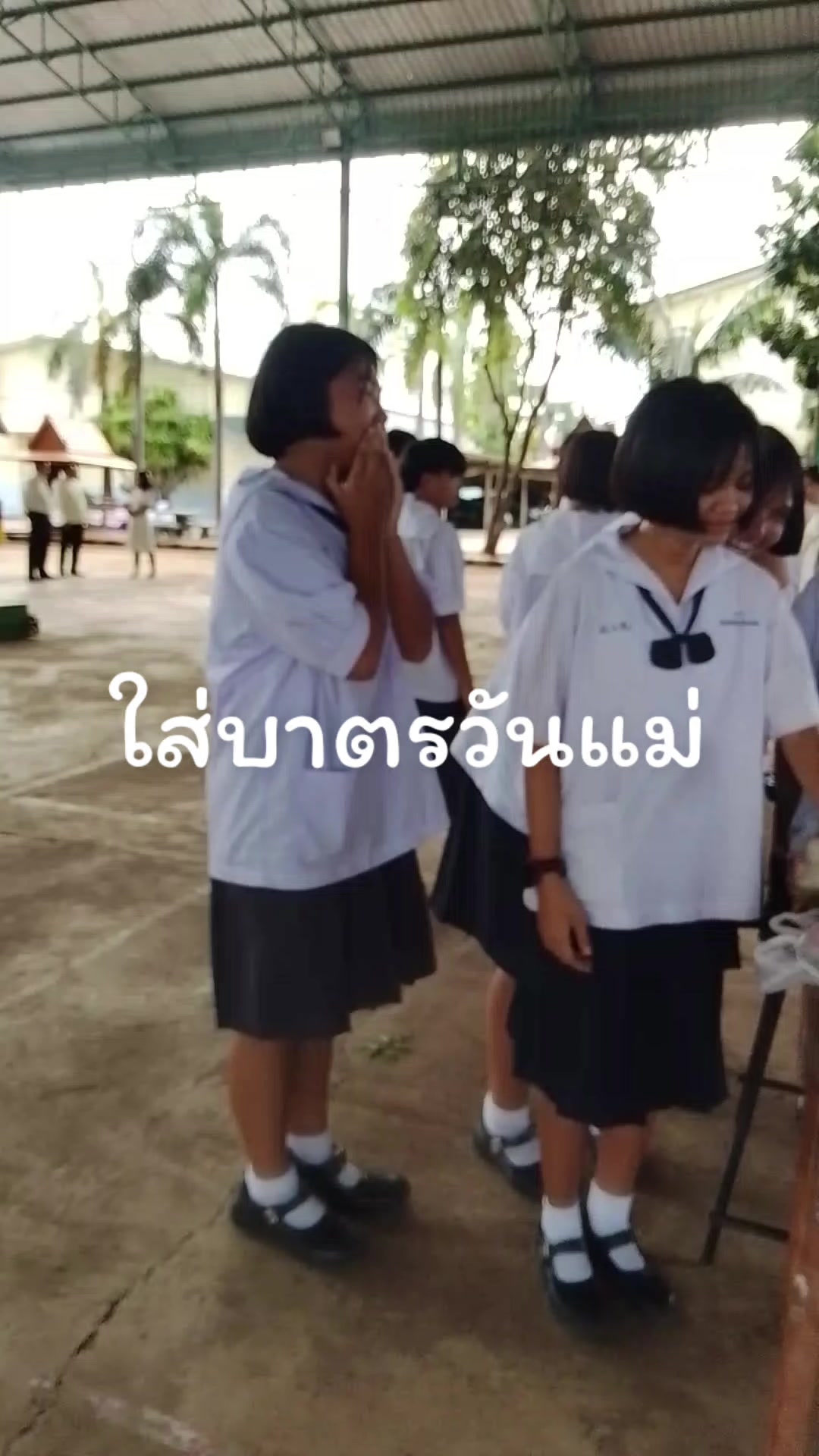 @เเมว เหมี้ยว ช่องสำรอง