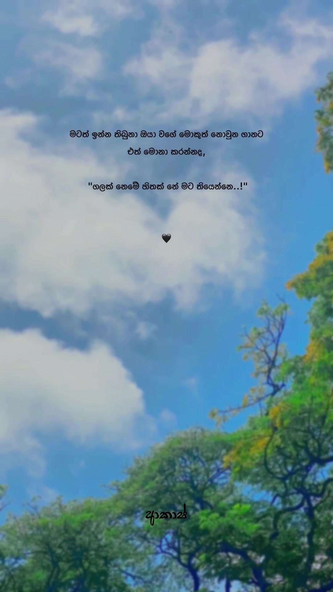 @𝑨𝒌𝒂𝒔𝒉 🧸!