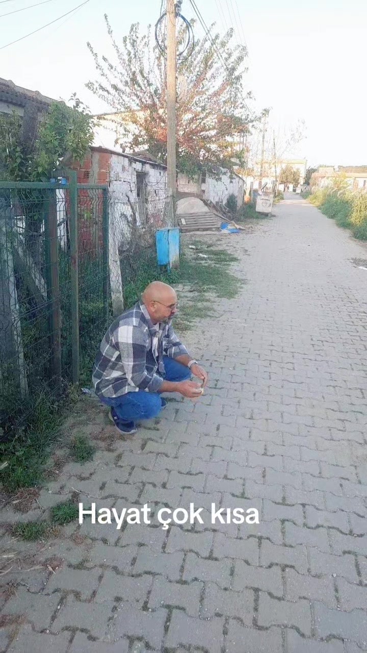 @Mahmutsizici2135
