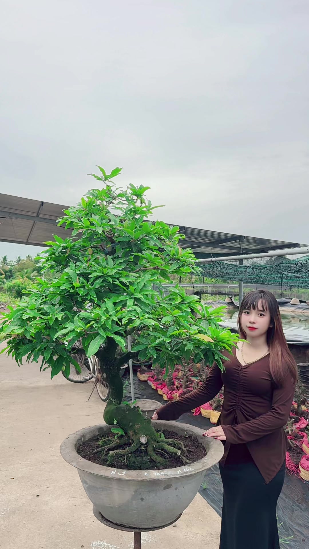 @Chichchoebong79