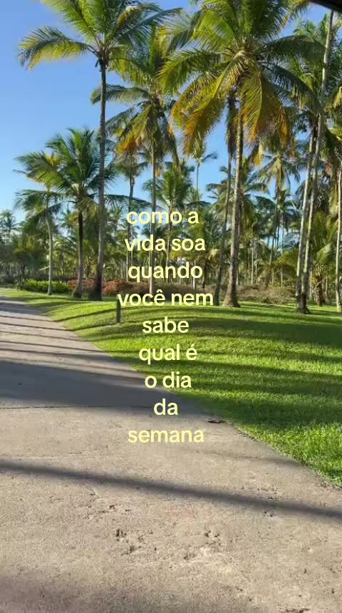 @lulu