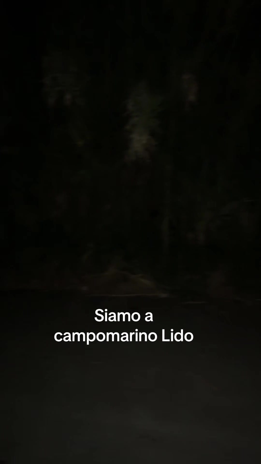@Rita Infante