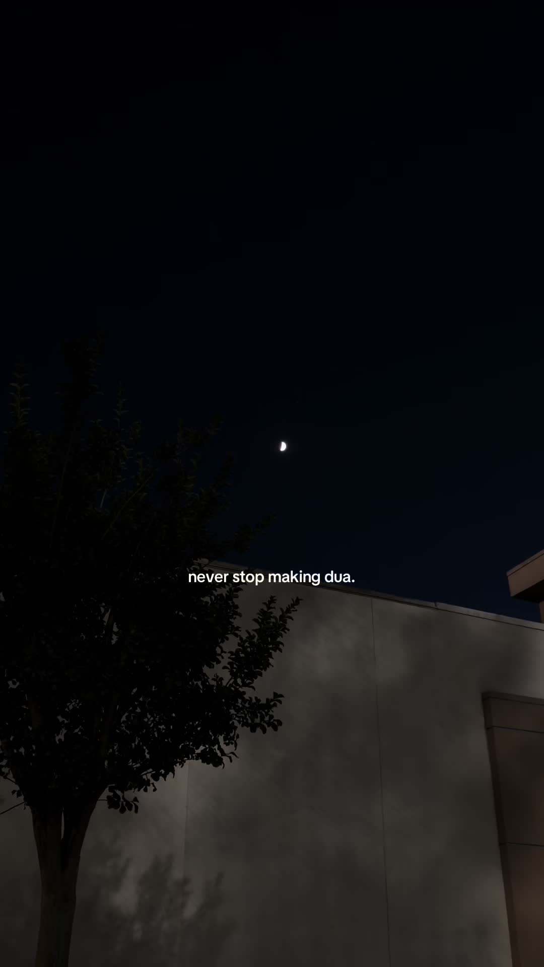 @𝒮
