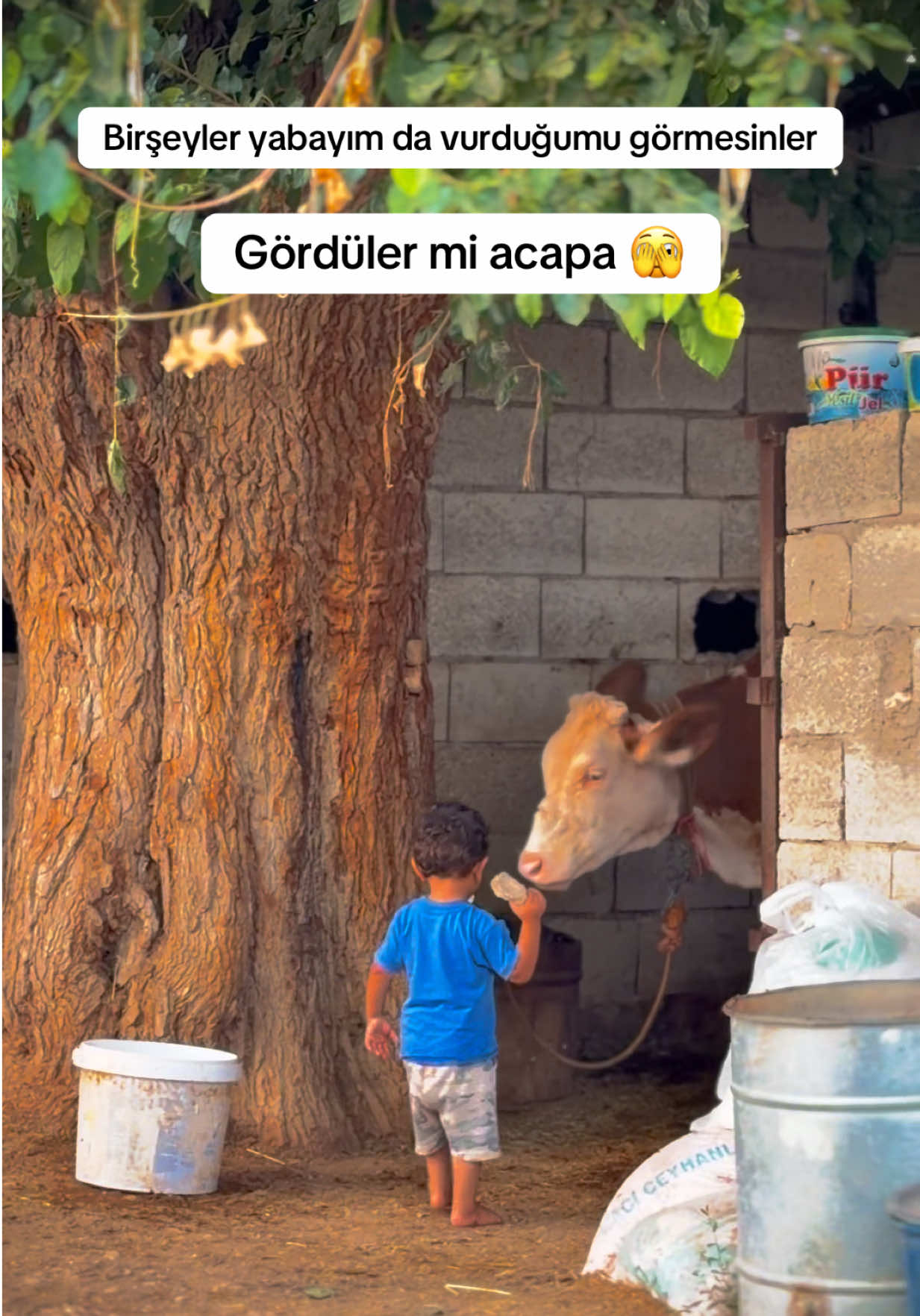 @🇹🇷͜͜͡͡✯USLANMAZ🇹🇷͜͜͡͡✯