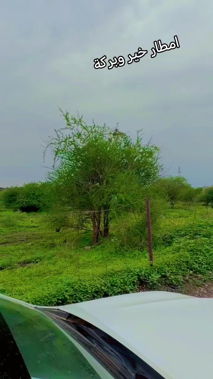 @محمد ابقوه