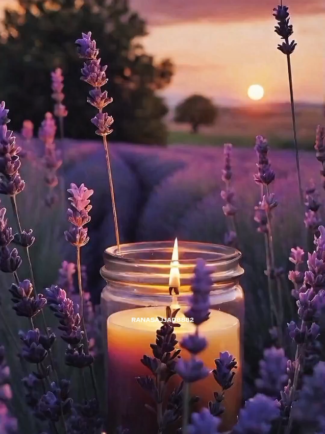 @✫@𝙨𝙖𝙟𝙟𝙖𝙙𝙬𝙧𝙞𝙩𝙚𝙨✫
