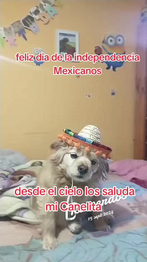 @Canelita@la bonita