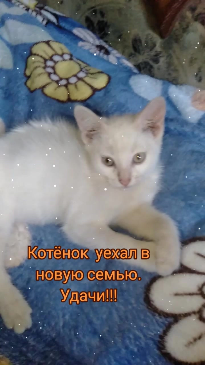 @chertkova Наталья