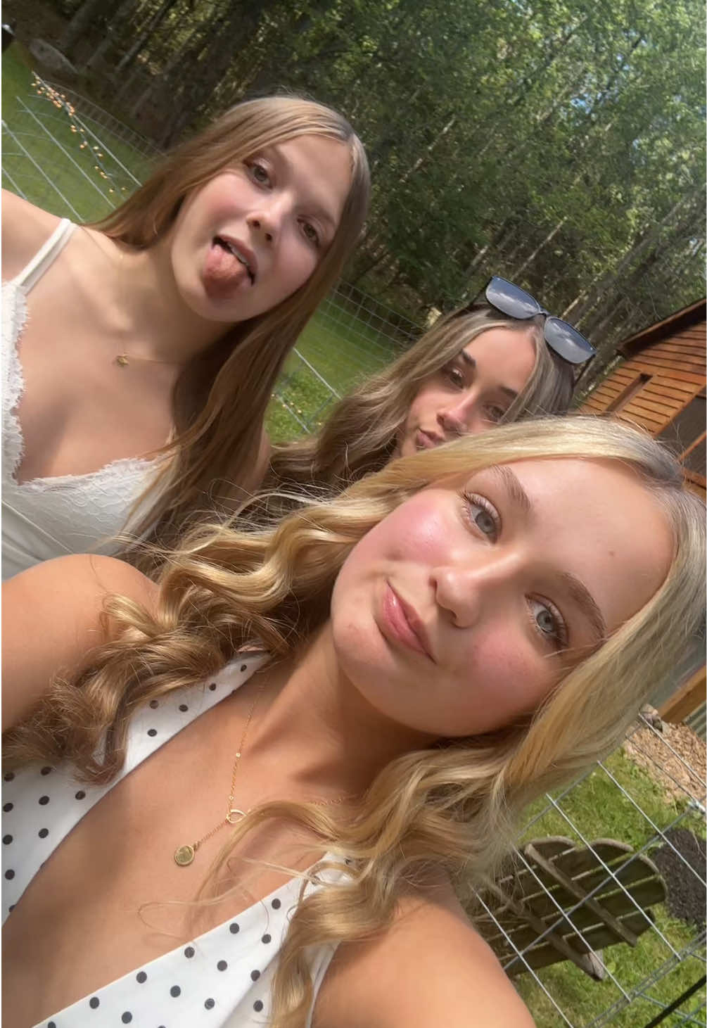 @mya🐆