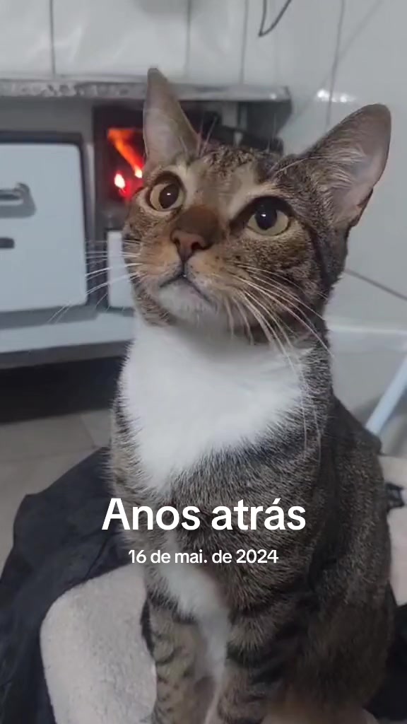 @Luci