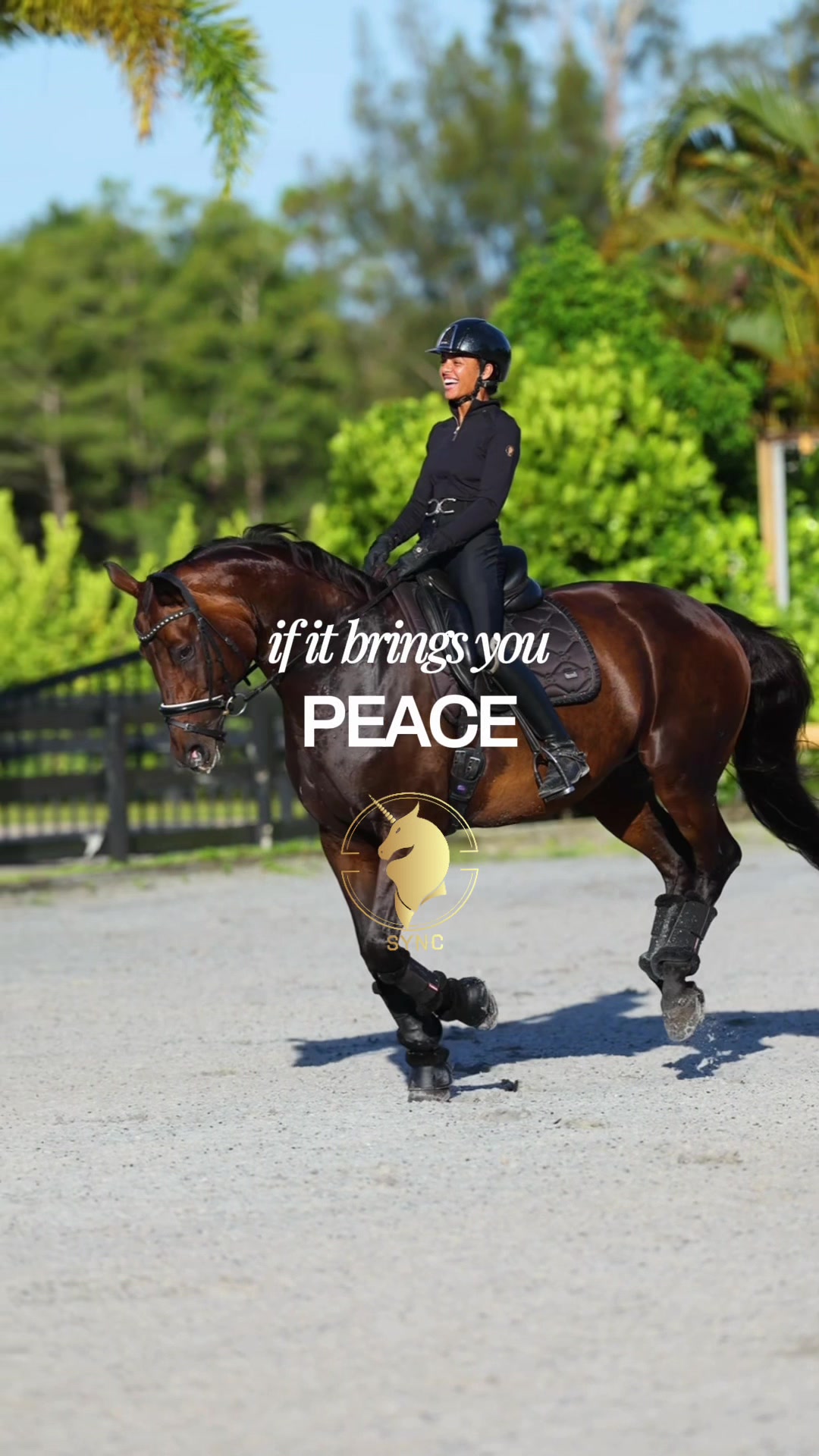 @Sync Equestrian